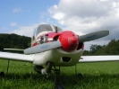 Motorflug_39